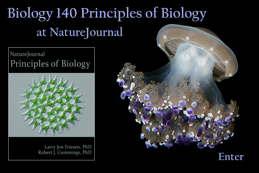 Principles Of Biology